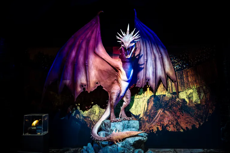 Harry Potter: The Exhibition